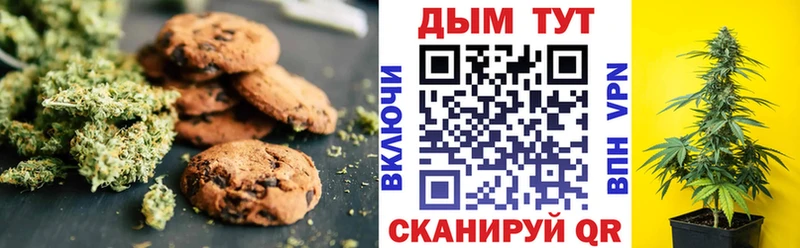 Canna-Cookies конопля  где можно купить наркотик  Новое Девяткино 