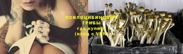 ешки Белокуриха