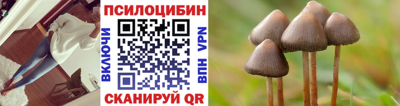 Галлюциногенные грибы Cubensis  купить наркотик  Новое Девяткино 